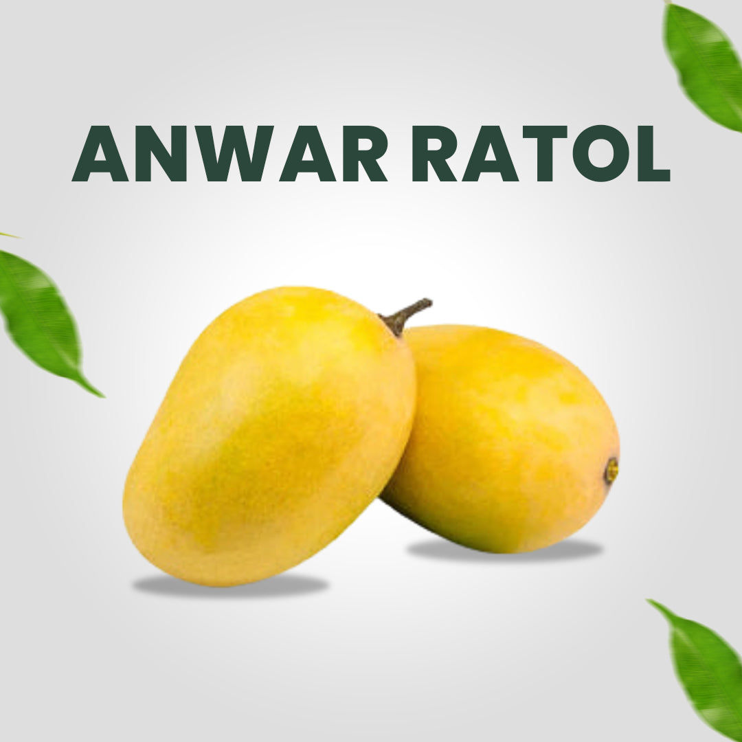 Anwar Ratol