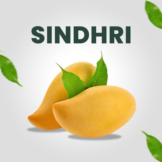 Sindhri